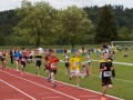 FLC 2015 93.jpg