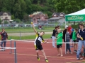 FLC 2017 3