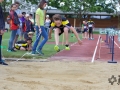 FLC 2017 4 (1)